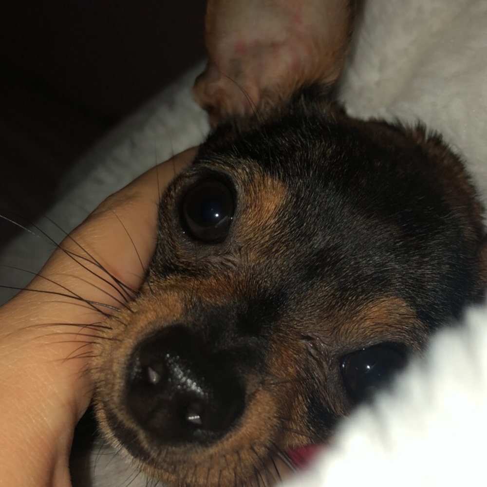 Meet your Posher, Brianna